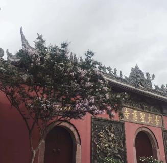 LV国际：助力公益活动建设，实现经济效益与社会效益的双赢！