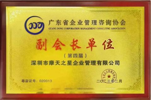LV国际荣获2021年度“广东省管理咨询行业50强”企业