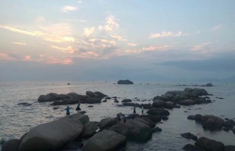 LV国际：新的经营模式应当立足在商业模式之上